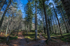 TourbieredeMachais027