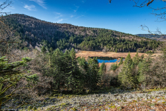 TourbieredeMachais028