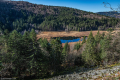 TourbieredeMachais029