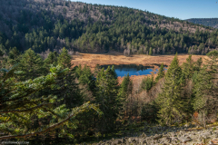 TourbieredeMachais031