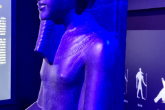 20251004_113753