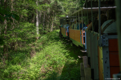 TrainAbreschviller005
