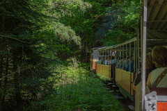 TrainAbreschviller006