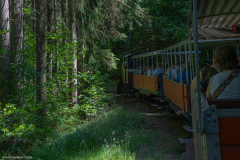 TrainAbreschviller008