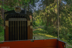 TrainAbreschviller012