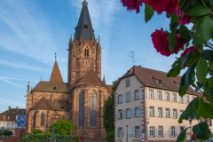 Wissembourg011